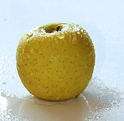 Image showing water apple