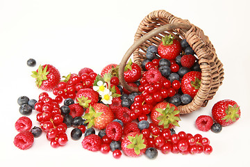 Image showing Berry Mix