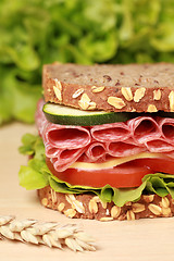 Image showing Salami Sandwich