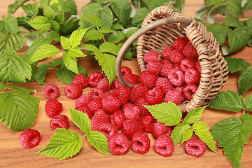 Image showing Raspberries