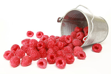 Image showing Raspberries