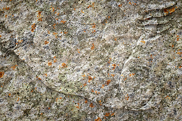 Image showing old stone lichen background