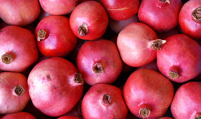 Image showing pomegranate