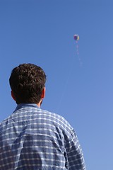 Image showing kite flying 