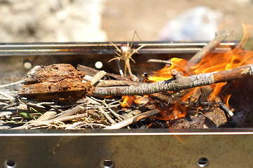 Image showing Fire in Grill