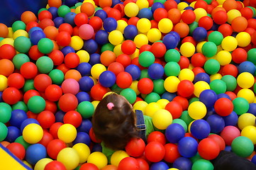 Image showing child girl inside a balls pool