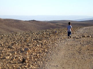 Image showing walking alone in desert