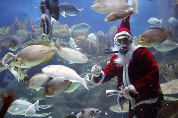 Image showing Santa Clause Feeding Fishes