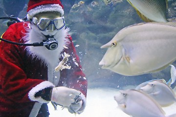 Image showing Santa Clause Feeding Fishes