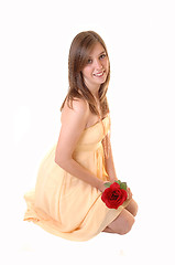 Image showing Lovely girl with rose kneeling.