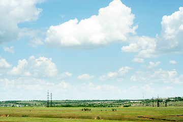 Image showing green meadow 