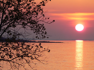 Image showing Sunset