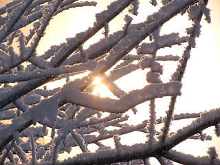 Image showing winter morning