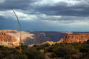 Image showing Grand Canyon