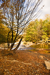 Image showing Mountain small river