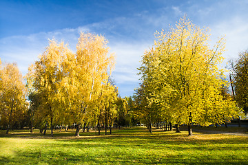 Image showing Autumn park