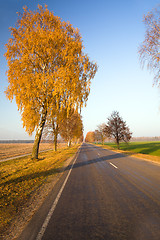 Image showing Autumn road