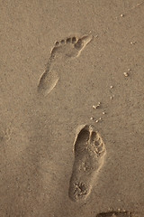 Image showing Human trace of a foot on yellow sand