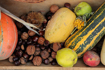 Image showing Autumn Harvest