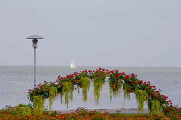 Image showing Flowers blooming in park near lake. Sailing boat.