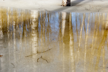 Image showing Melting snow and ice over birch forest reflections