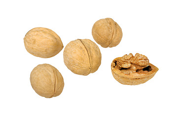 Image showing pile of walnuts