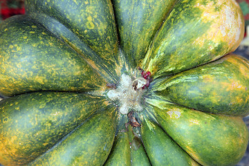 Image showing Close Up of Green Pumpkin Top Stem