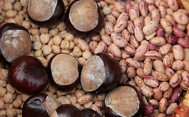 Image showing Autumn Harvest