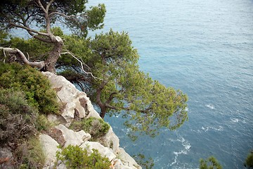 Image showing Pictorial blue Adriatic sea with rocks