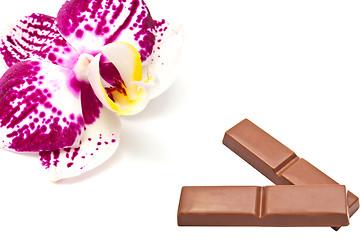 Image showing Orchid and chocolate