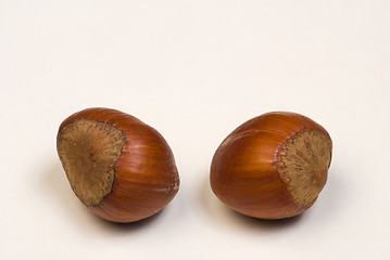 Image showing Hazelnuts