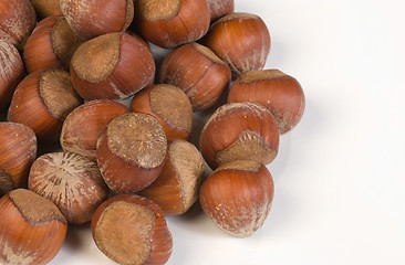 Image showing Hazelnuts