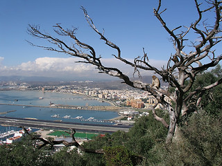 Image showing Gibraltar