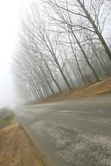 Image showing Foggy road