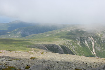 Image showing The table