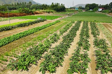 Image showing farm field