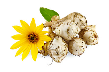 Image showing Jerusalem artichokes with yellow flower