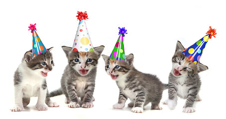 Image showing Birthday Song Singing Kittens on White Background