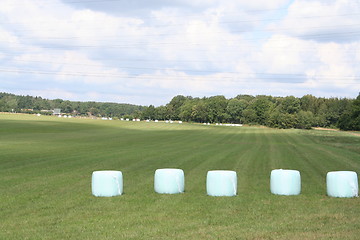 Image showing Packages of ensilage