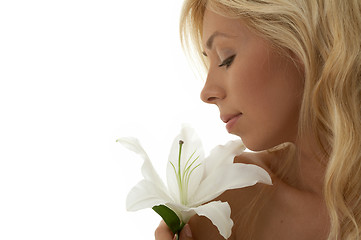 Image showing madonna lily