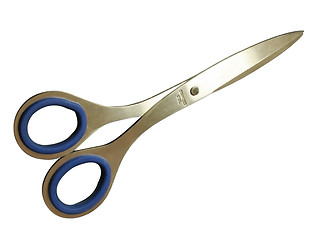 Image showing scissors