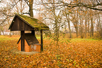 Image showing Autumn season