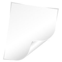 Image showing Blank Sheet of Paper with Curved Corner