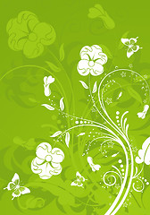 Image showing Floral background