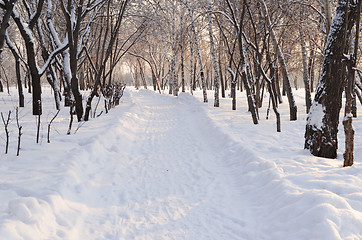 Image showing snow park