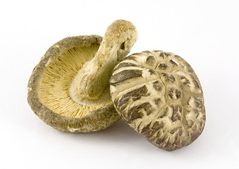 Image showing Dried mushroom