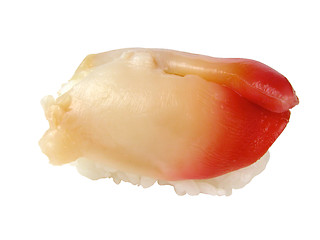 Image showing Clam sushi