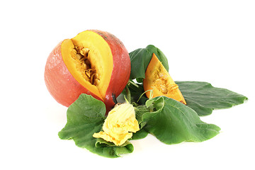 Image showing Hokkaido pumpkin