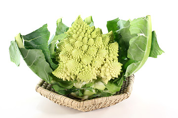 Image showing fresh Romanesco broccoli