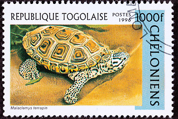 Image showing Canceled Togan Postage Stamp Spotted Diamondback Terrapin, Malac